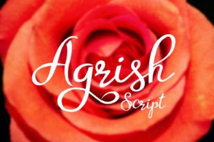 Agrish: A Designer’s Honest Take on a Script That Works