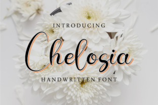 Chelosia: A Script Font That Works in Real Campaigns