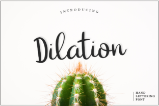 Dilation Calligraphy Font: A Handwritten Typeface for Modern Web Design