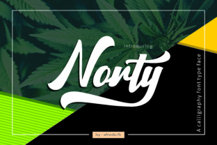 Give Your Brand a Fresh Start with Norty Display Font