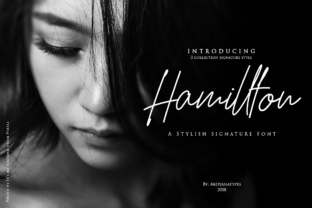 How Hamillton Font Gave My Small Business a Brand Upgrade
