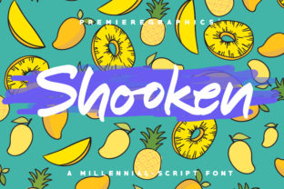 Shooken Font: A Display Typeface That Commands Attention in Campaigns