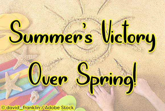 Summer's Victory Over Spring Font in Real Branding Projects